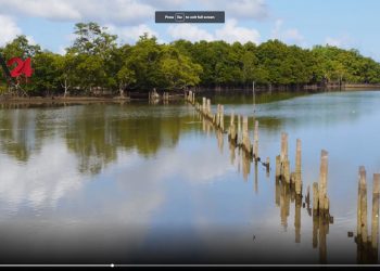 ធនាគារត្រី! ផ្ទះសម្រាប់សត្វក្តាមគេចពីការនេសាទត្រីហួសកម្រិត