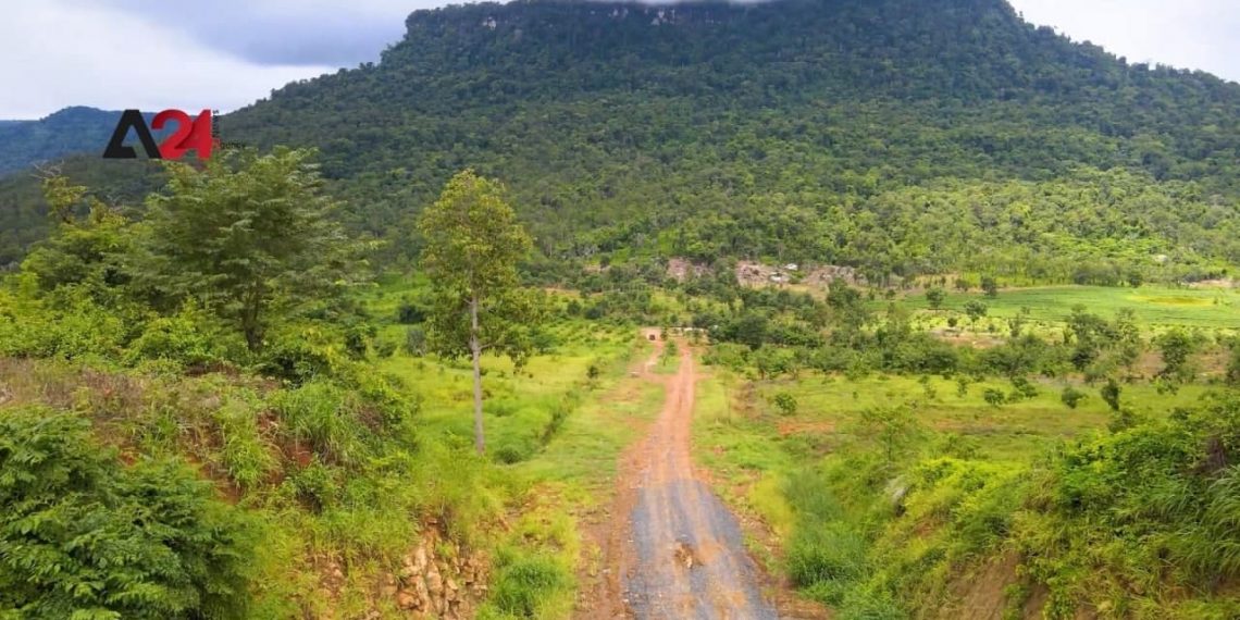 កម្មវិធីរបស់ទីភ្នាក់ងារ USAID រួមចំណែកក្នុងការជួយសង្គ្រោះព្រៃឈើនៅកម្ពុជា