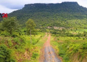 កម្មវិធីរបស់ទីភ្នាក់ងារ USAID រួមចំណែកក្នុងការជួយសង្គ្រោះព្រៃឈើនៅកម្ពុជា