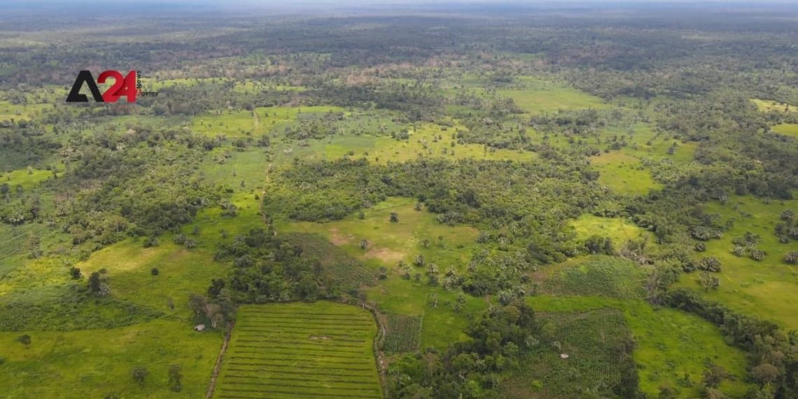 ទីភ្នាក់ងារជំនួយអាមេរិក USAID ផ្តល់ជំនួយដល់គម្រោងកសិកម្មនៅកម្ពុជា